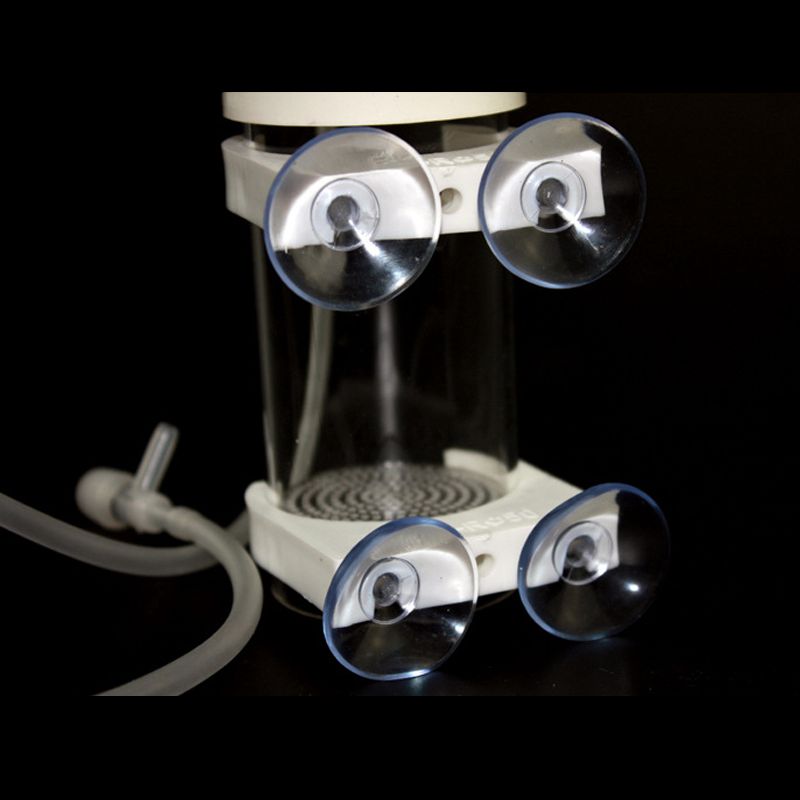 Aquarium Cichlids Tumbler Fish - Aquarium & Marine Museum review and price